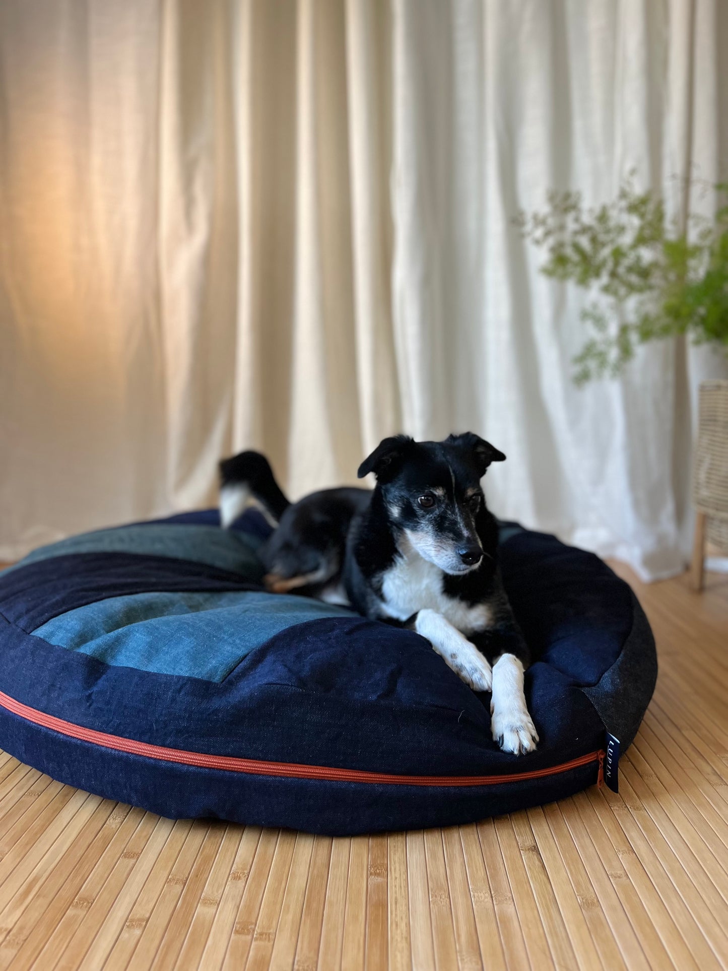 Sunshine Dome Bed