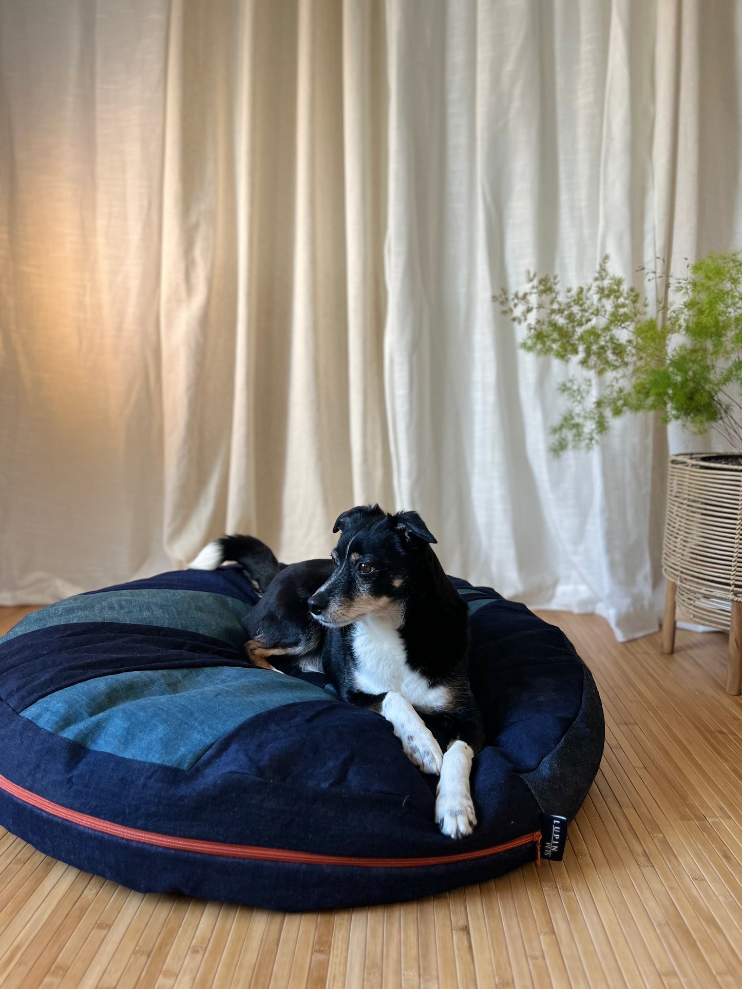 Sunshine Dome Bed