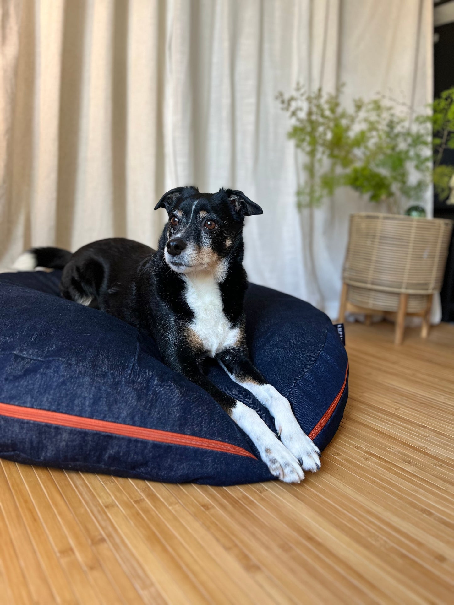 Clean Quarter Dome Bed
