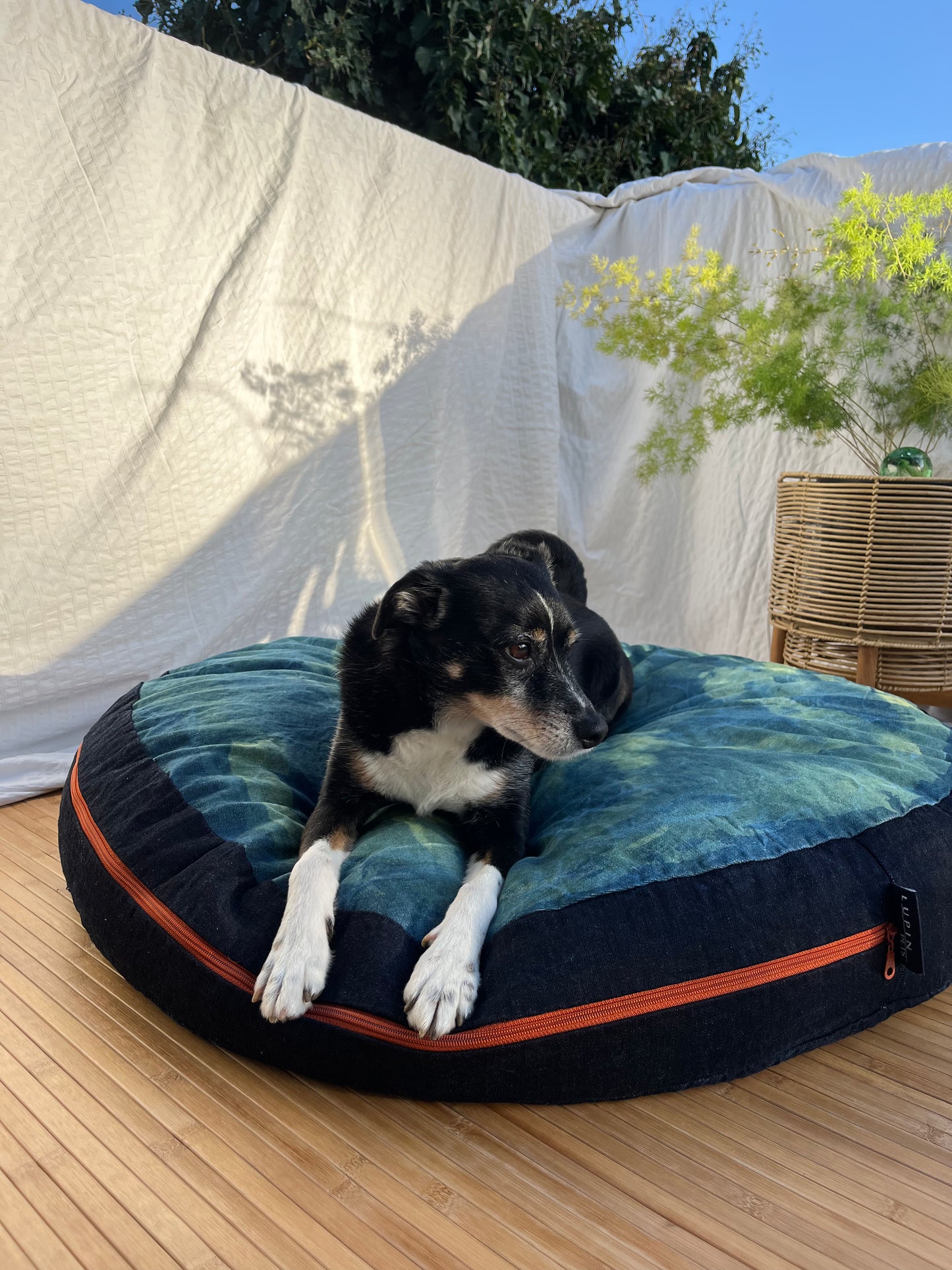 Upcycled One-Of-A-Kind Bed ~ Green Cloud Dome _ Large 36"